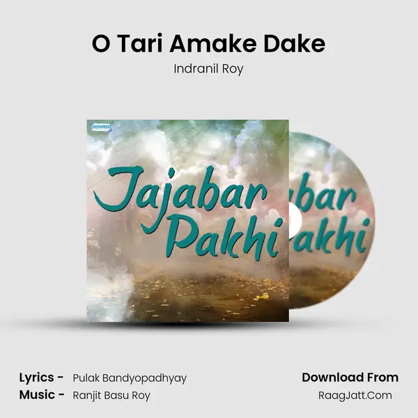 O Tari Amake Dake Song mp3 | Indranil Roy