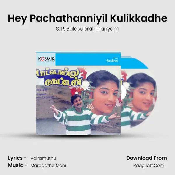 Hey Pachathanniyil Kulikkadhe Song mp3 | S. P. Balasubrahmanyam