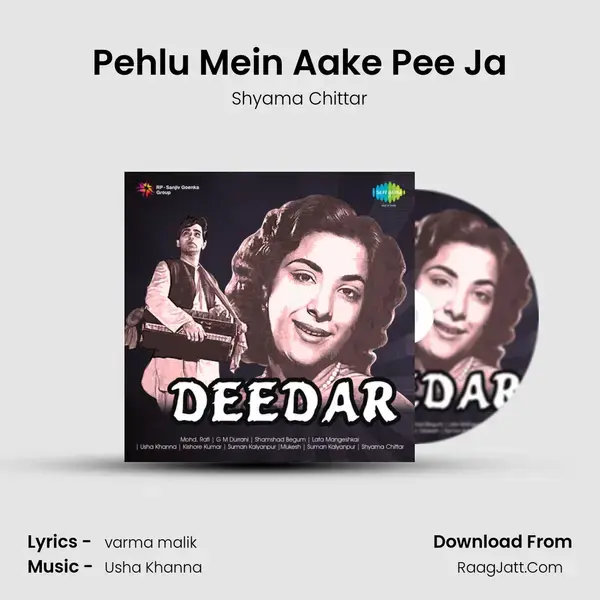 Pehlu Mein Aake Pee Ja mp3 song