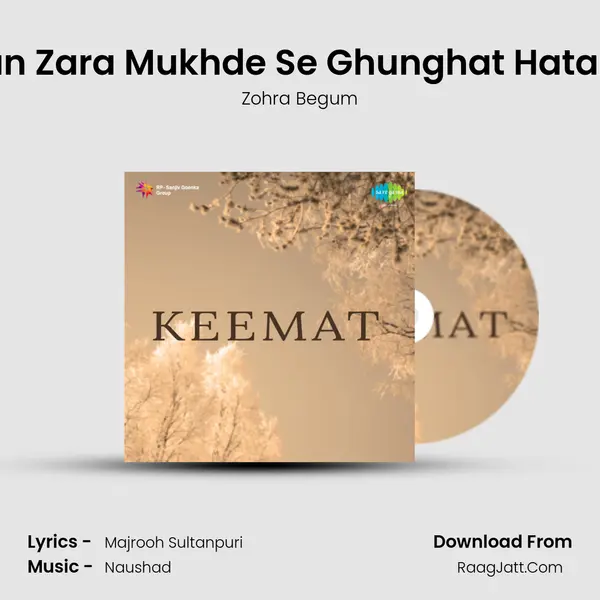 Han Zara Mukhde Se Ghunghat Hata Le mp3 song