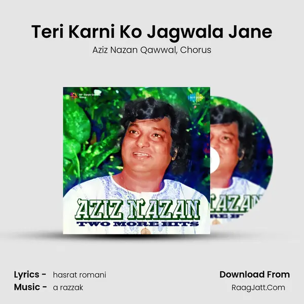 Teri Karni Ko Jagwala Jane mp3 song