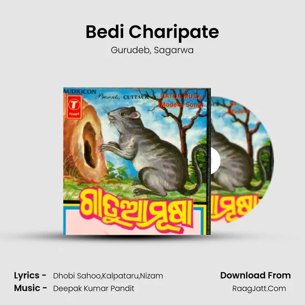 Bedi Charipate Song mp3 | Gurudeb