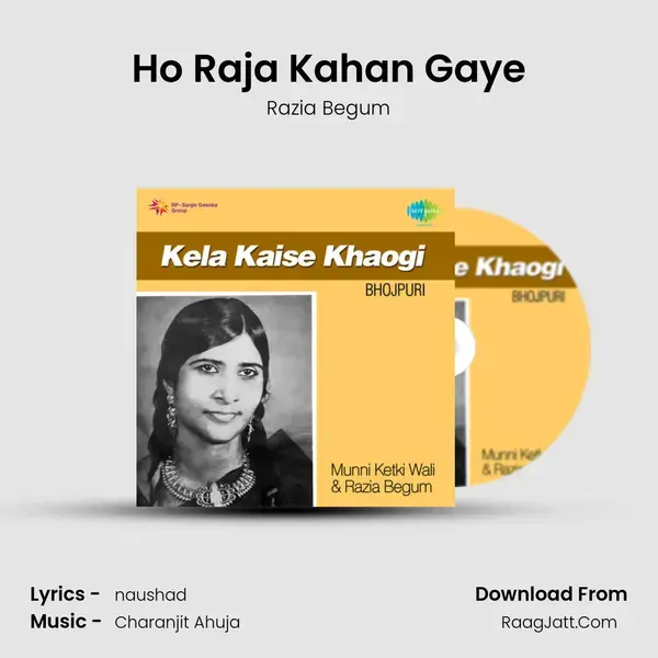 Ho Raja Kahan Gaye mp3 song