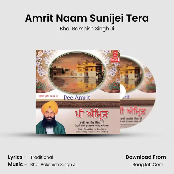 Amrit Naam Sunijei Tera Song mp3 | Bhai Bakshish Singh Ji