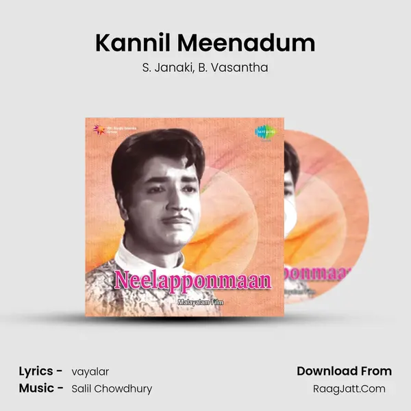 Kannil Meenadum Song mp3 | S. Janaki