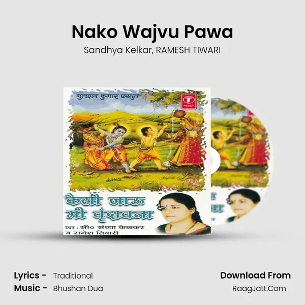 Nako Wajvu Pawa mp3 song