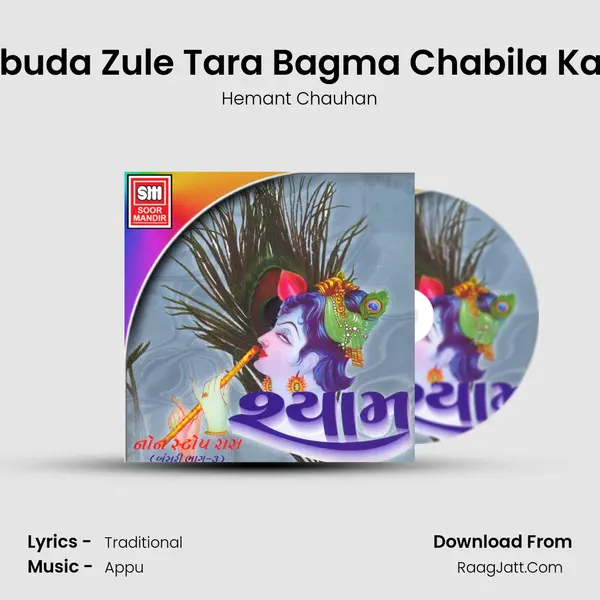 Libuda Zule Tara Bagma Chabila Kan Song mp3 | Hemant Chauhan