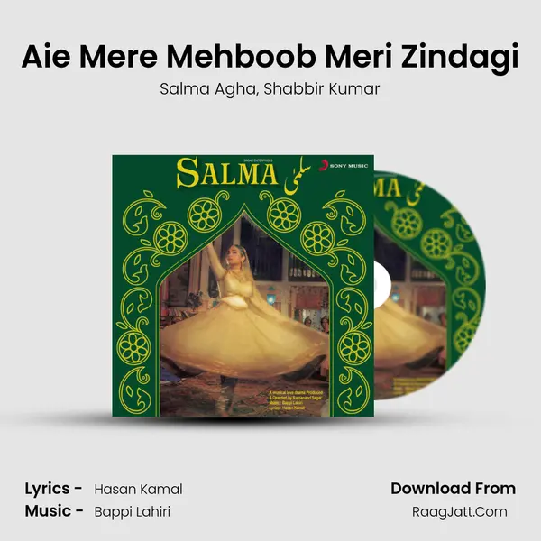 Aie Mere Mehboob Meri Zindagi Song mp3 | Salma Agha