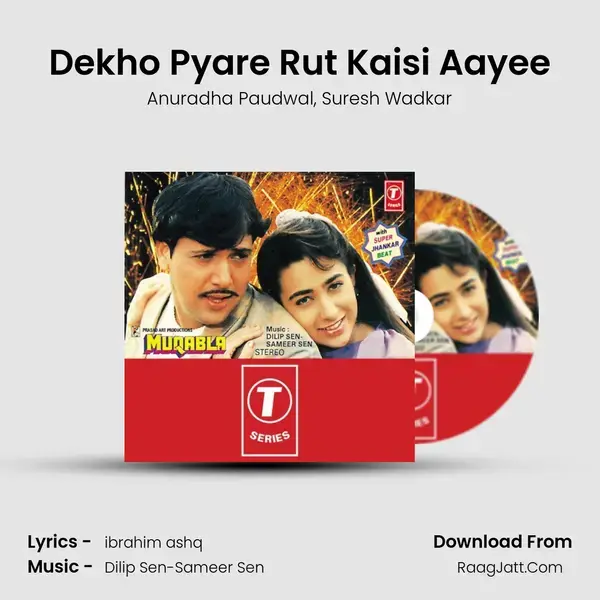 Dekho Pyare Rut Kaisi Aayee Song mp3 | Anuradha Paudwal