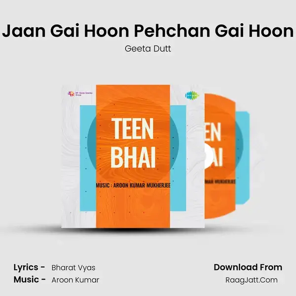 Jaan Gai Hoon Pehchan Gai Hoon mp3 song