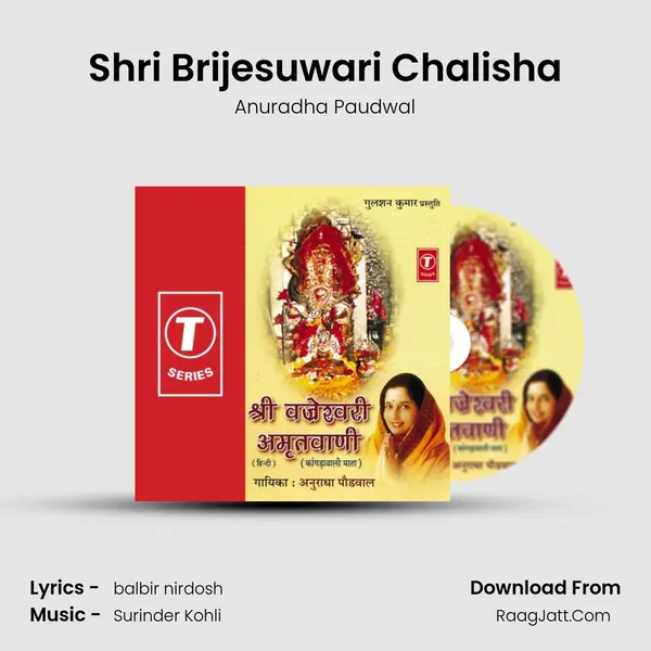 Shri Brijesuwari Chalisha Song mp3 | Anuradha Paudwal