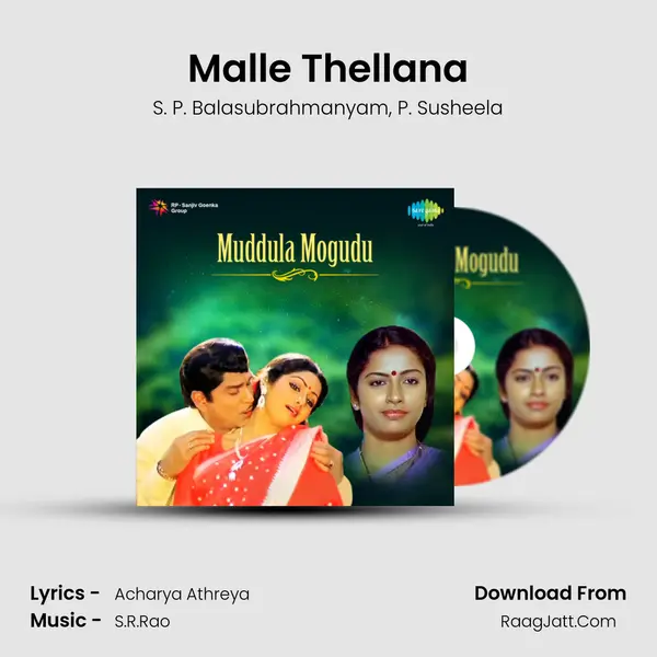 Malle Thellana Song mp3 | S. P. Balasubrahmanyam