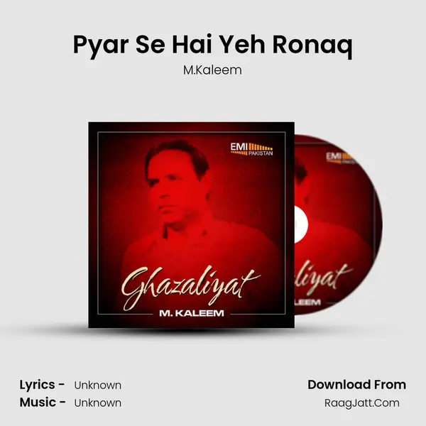 Pyar Se Hai Yeh Ronaq mp3 song