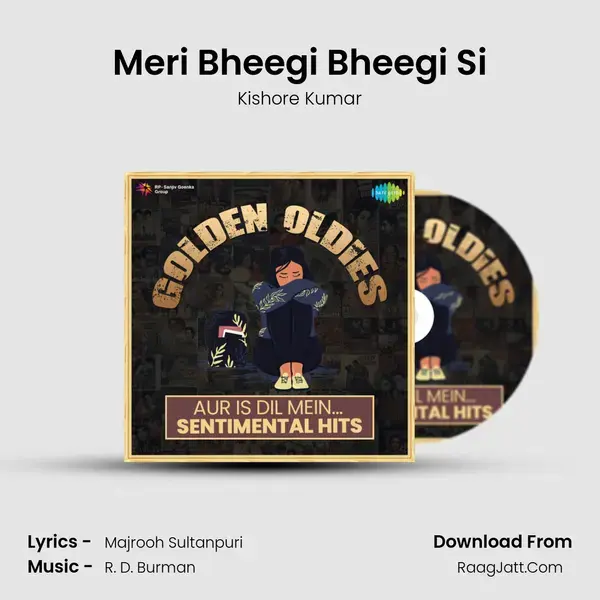 Meri Bheegi Bheegi Si mp3 song