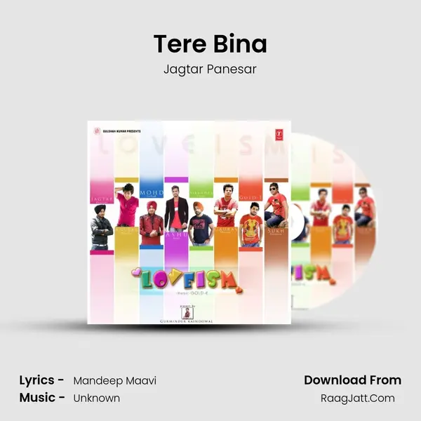 Tere Bina Song mp3 | Jagtar Panesar