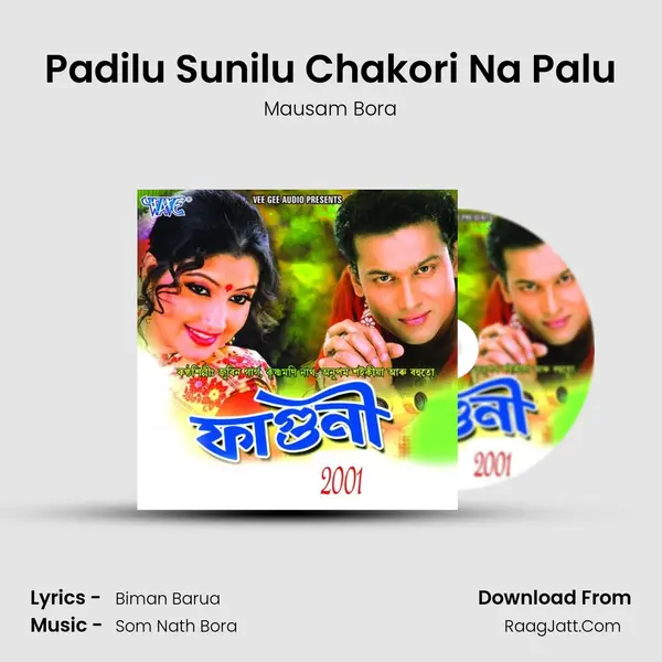 Padilu Sunilu Chakori Na Palu Song mp3 | Mausam Bora