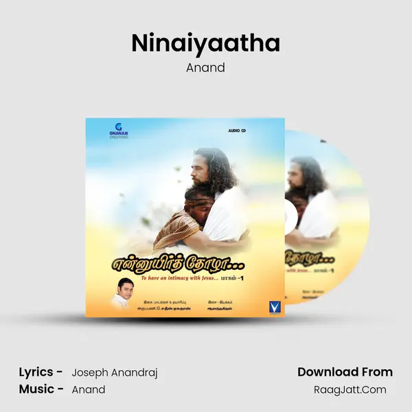 Ninaiyaatha Song mp3 | Anand