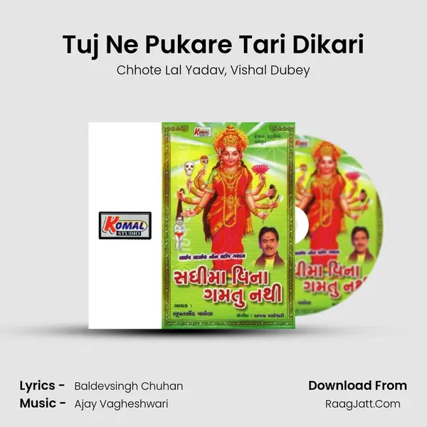 Tuj Ne Pukare Tari Dikari mp3 song