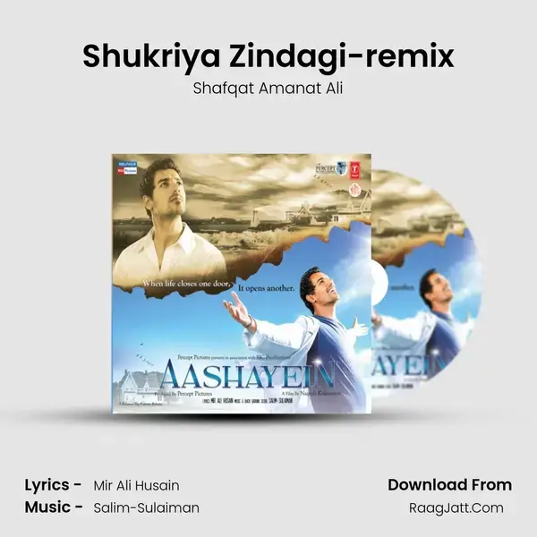 Shukriya Zindagi-remix Song mp3 | Shafqat Amanat Ali