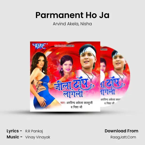 Parmanent Ho Ja Song mp3 | Arvind Akela