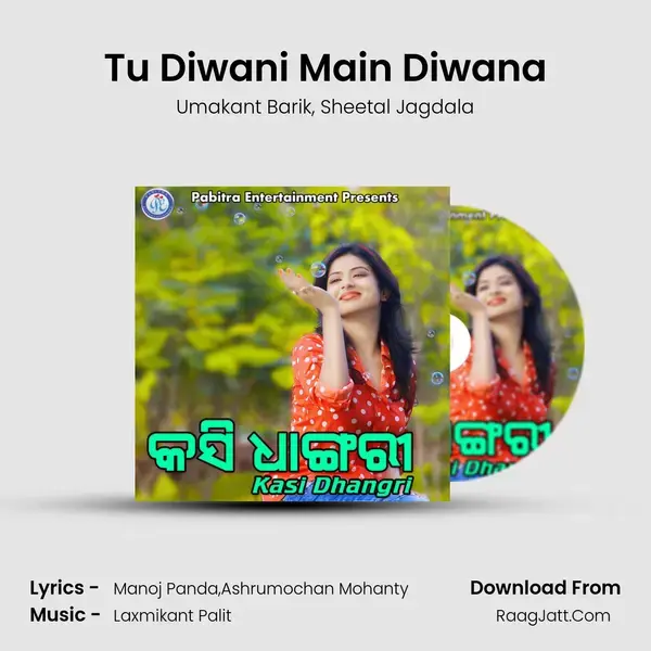 Tu Diwani Main Diwana Song mp3 | Umakant Barik