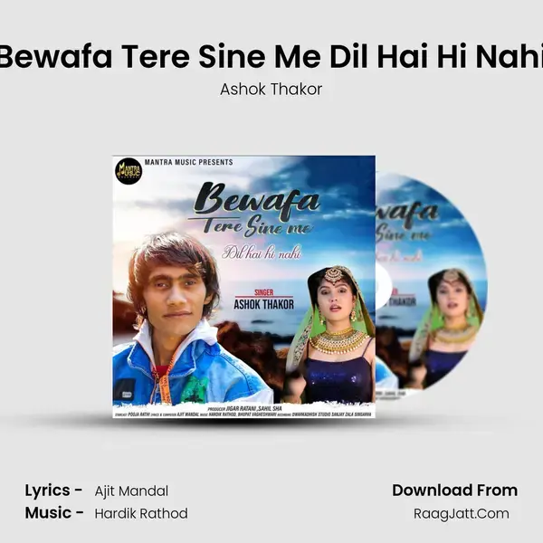 Bewafa Tere Sine Me Dil Hai Hi Nahi mp3 song