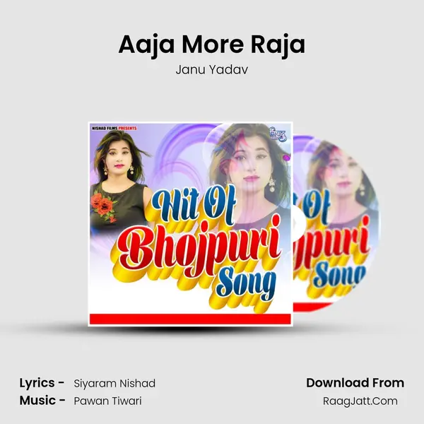 Aaja More Raja Song mp3 | Janu Yadav