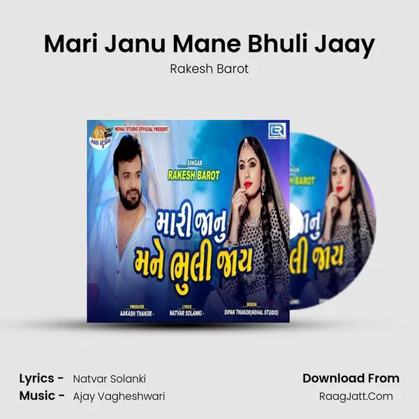 Mari Janu Mane Bhuli Jaay mp3 song