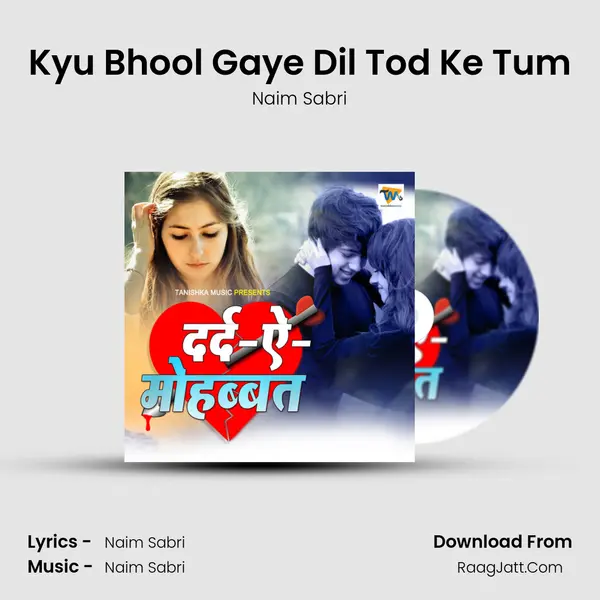 Kyu Bhool Gaye Dil Tod Ke Tum Song mp3 | Naim Sabri