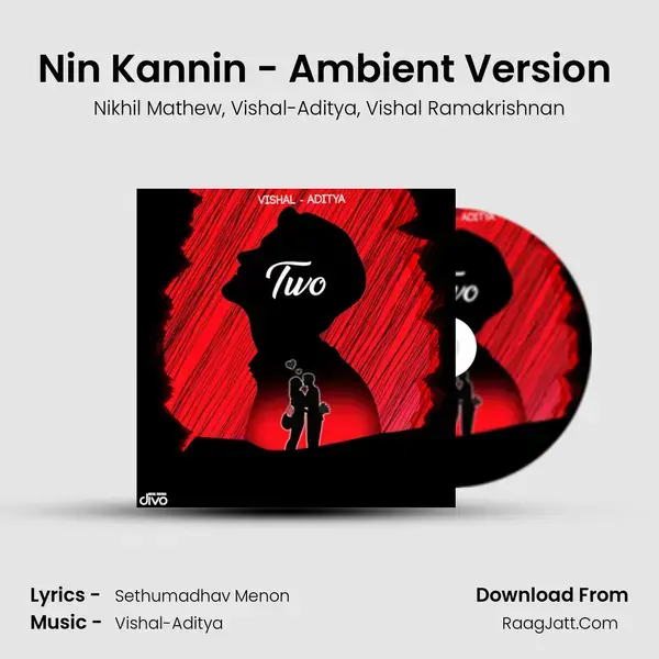 Nin Kannin - Ambient Version (feat. Nikhil Mathew) Song mp3 | Nikhil Mathew