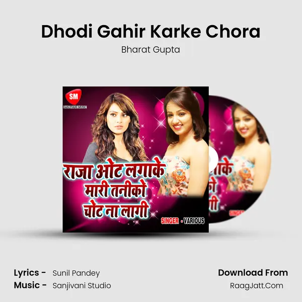 Dhodi Gahir Karke Chora Song mp3 | Bharat Gupta