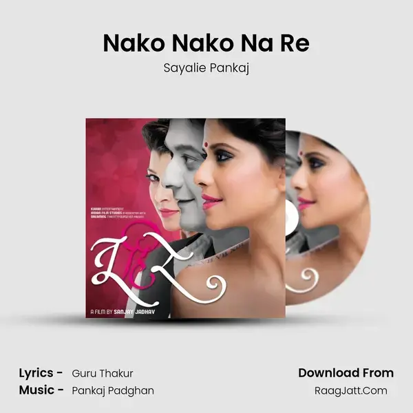 Nako Nako Na Re mp3 song