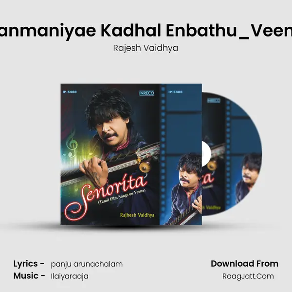 Kanmaniyae Kadhal Enbathu_Veena Song mp3 | Rajesh Vaidhya