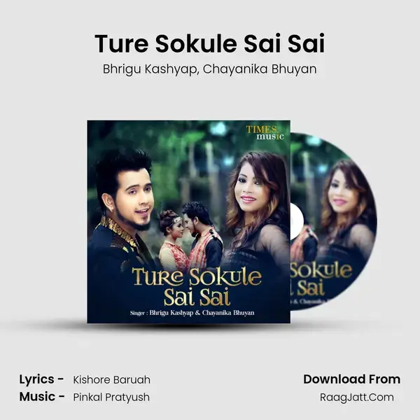 Ture Sokule Sai Sai - Bhrigu Kashyap