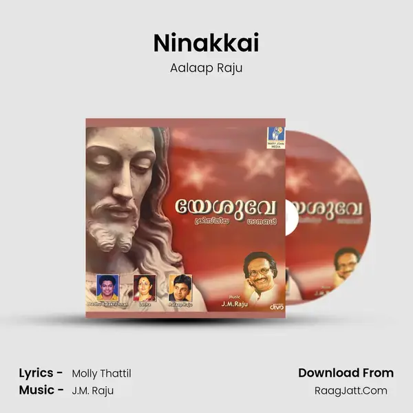 Ninakkai Song mp3 | Aalaap Raju