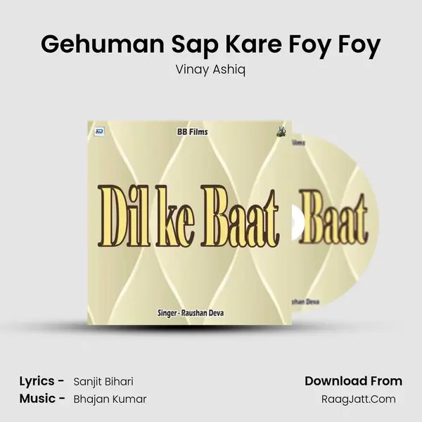 Gehuman Sap Kare Foy Foy Song mp3 | Vinay Ashiq