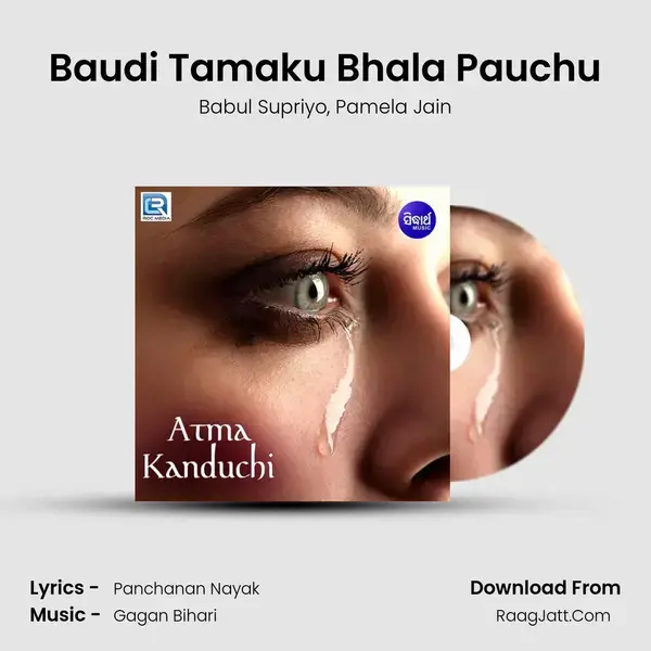 Baudi Tamaku Bhala Pauchu Song mp3 | Babul Supriyo