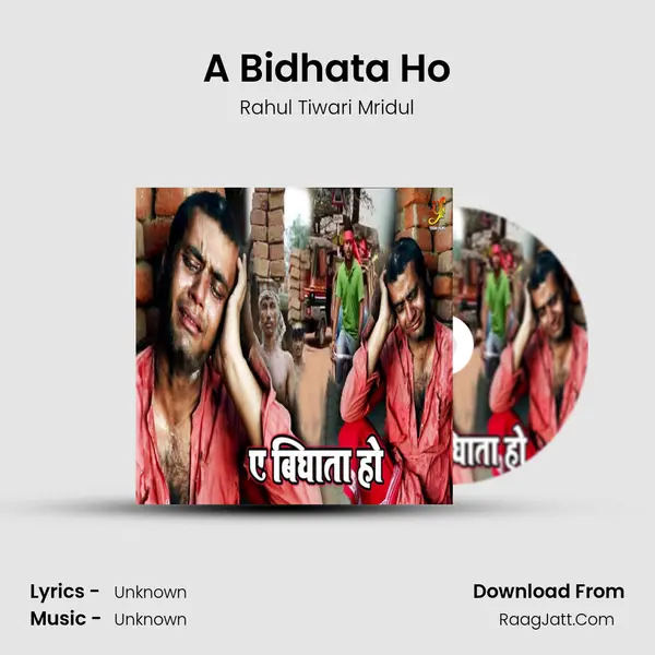 A Bidhata Ho - Single - Rahul Tiwari Mridul