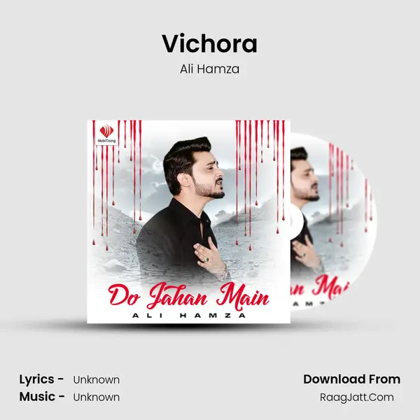 Vichora Song mp3 | Ali Hamza