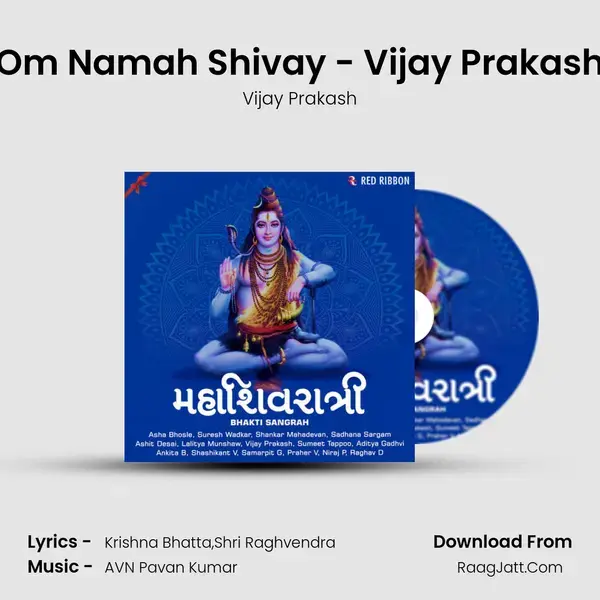 Om Namah Shivay - Vijay Prakash mp3 song