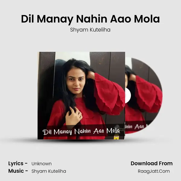 Dil Manay Nahin Aao Mola mp3 song