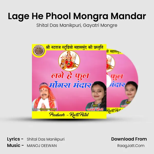 Lage He Phool Mongra Mandar mp3 song