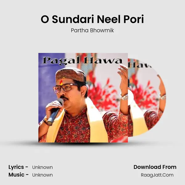 O Sundari Neel Pori Song mp3 | Partha Bhowmik