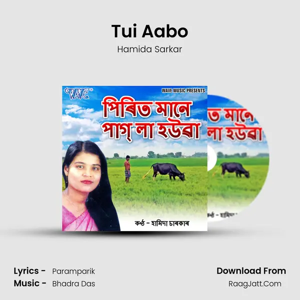 Tui Aabo Song mp3 | Hamida Sarkar