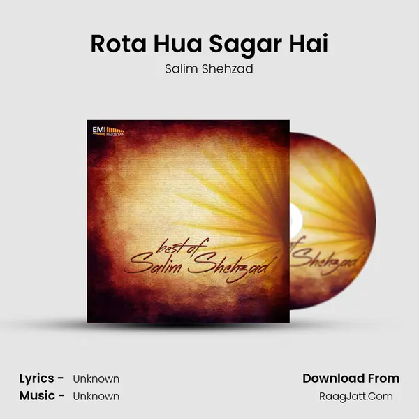 Rota Hua Sagar Hai mp3 song