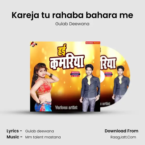 Kareja tu rahaba bahara me Song mp3 | Gulab Deewana