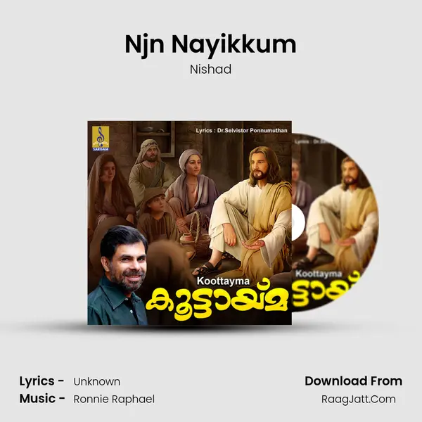 Njn Nayikkum mp3 song