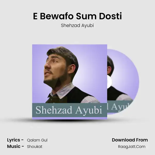 E Bewafo Sum Dosti mp3 song