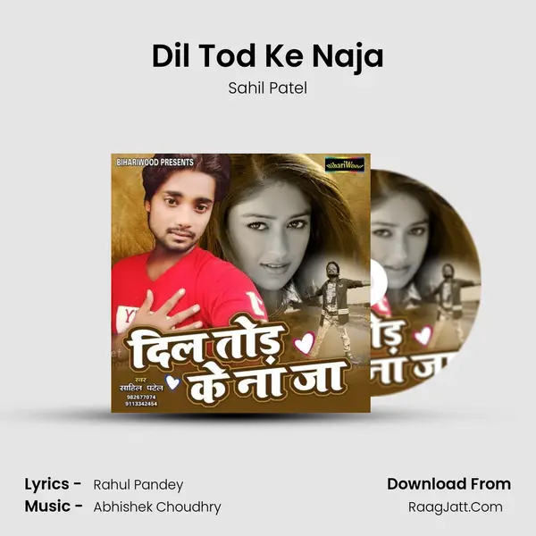 Dil Tod Ke Naja mp3 song