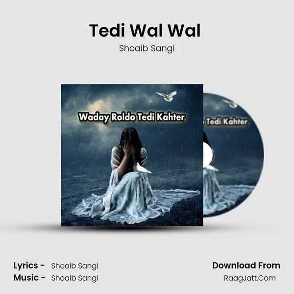 Tedi Wal Wal (Dohry Hi Dohry) Song mp3 | Shoaib Sangi